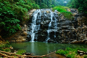 Coorg Monsoon Tour