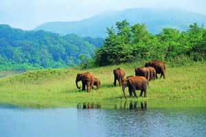 Exciting Kerala 3 days tour package