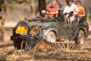 Golden Triangle Tour with Ranthambore Park